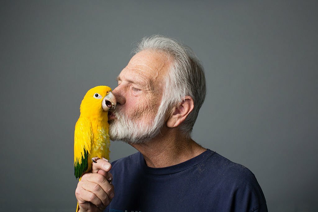 Do Pet Birds Protect Their Owners