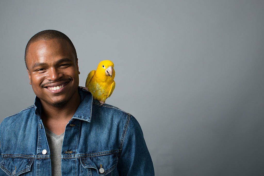 Do Pet Birds Protect Their Owners? TheBeautifulMeme The Essential